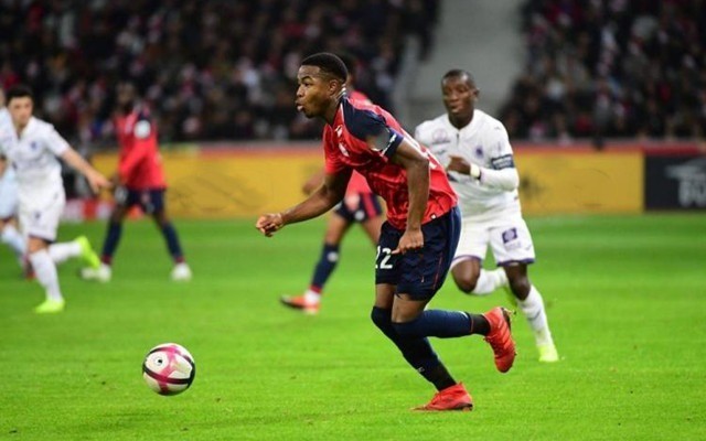 无疑令巴西 无疑令巴西